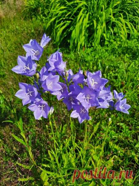 Утро доброе! 😊💚