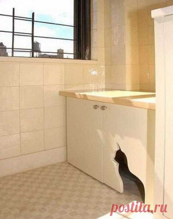 Куда спрятать кошачий туалет