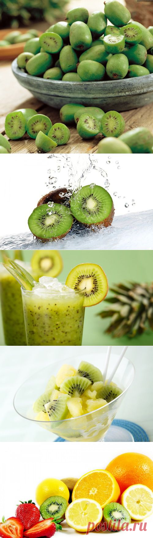 Фреш киви и киви-диета: Диеты - diets.ru