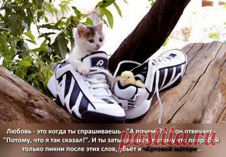 Афоторизмы dj_talay'a
