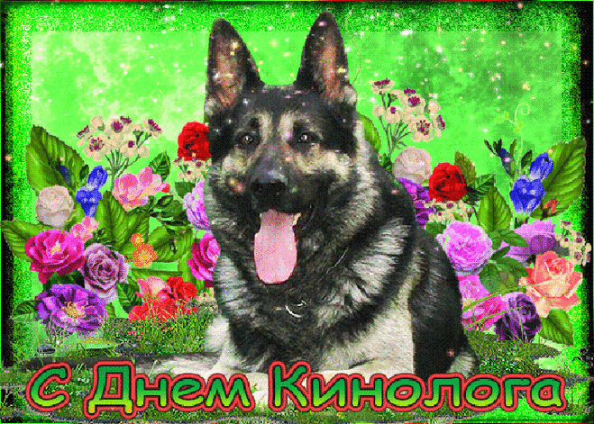Кинологи, желаем новых вам успехов
И новых планов достигать.
Чтобы препятствия, преграды
Уверенно одолевать.