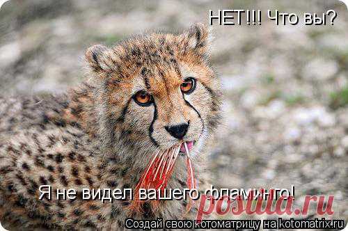 Мысли вслух..