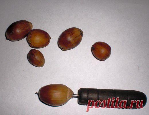 Виноградные желуди