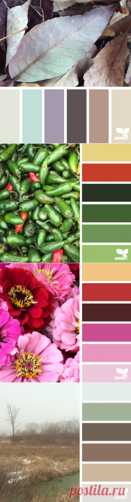 design seeds | for all who ♥ color