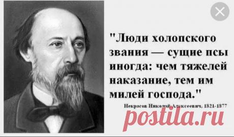 Отчего людям не выжить в трудовом коллективе из варанов? | Venefica | Яндекс Дзен