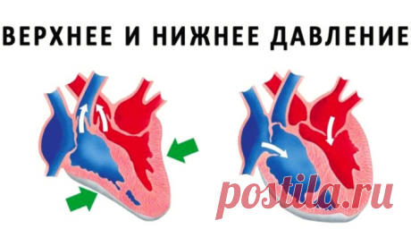 Разница между верхним и нижним давлением – все, что нужно знать
