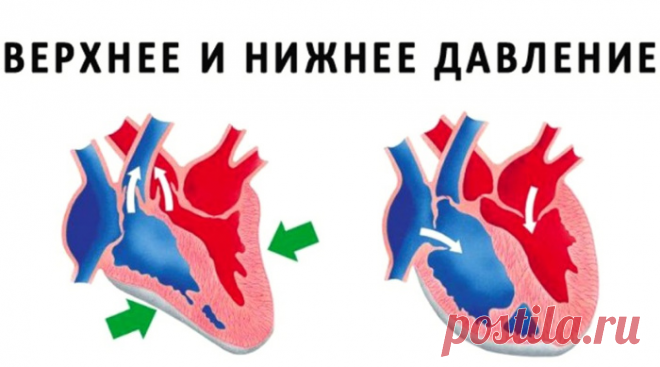 Разница между верхним и нижним давлением – все, что нужно знать