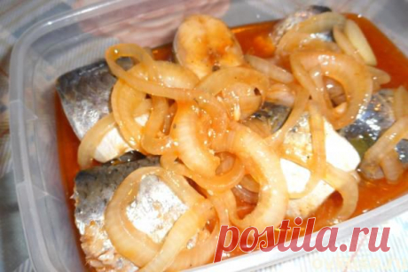 Селедка и скумбрия в томатном соке - Простые рецепты Овкусе.ру