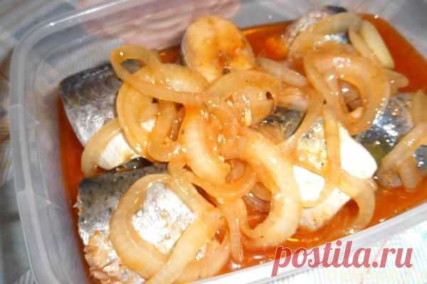 Селедка и скумбрия в томатном соке - Простые рецепты Овкусе.ру