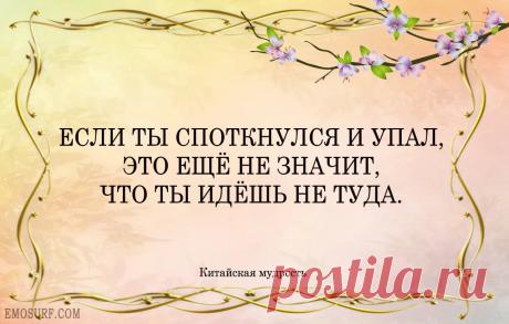 когда мне навязывают китайская мудрость: 1 тыс изображений найдено в Яндекс.Картинках