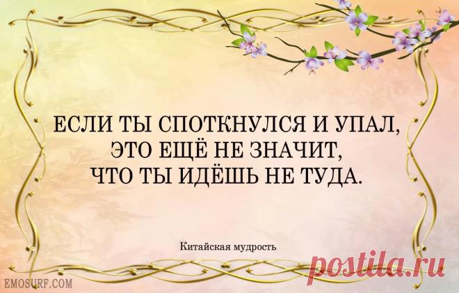 когда мне навязывают китайская мудрость: 1 тыс изображений найдено в Яндекс.Картинках