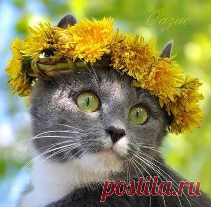 А разве ты не знаешь, что все делается к лучшему? Просто очень медленно. Надо идти дальше и не тащить с собой чемоданы, набитые прошлым. Рук не хватит, и выдохнешься на полпути.
Эльчин Сафарли