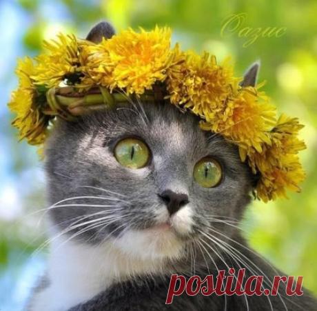 А разве ты не знаешь, что все делается к лучшему? Просто очень медленно. Надо идти дальше и не тащить с собой чемоданы, набитые прошлым. Рук не хватит, и выдохнешься на полпути.
Эльчин Сафарли