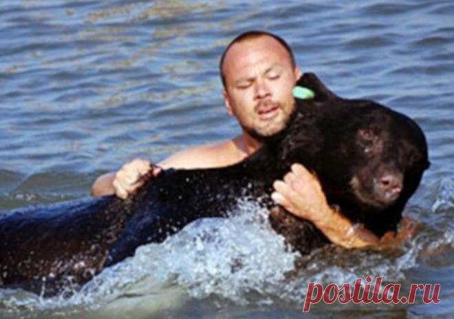 Медведь тонул в воде. От того, что сделал этот мужчина, бросает в пот.