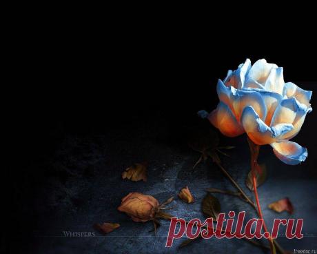 Нас осень позовёт в иное измеренье...