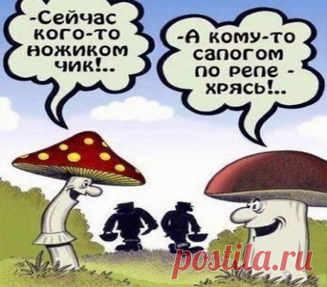 Лилия Советкина | ВКонтакте