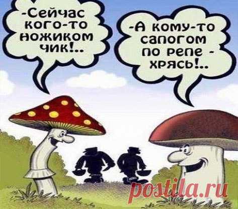 Лилия Советкина | ВКонтакте