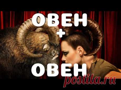 Овен и Овен.  Совместимость знаков зодиака - YouTube
Возможна ли дружба между ними?
Как два овна ведут себя в работе и бизнесе?
Подходят ли они друг другу в браке?
Девушка овен - независимая, яркая, умная, однако...Любой мужчина овен, по его мнению, еще в большей степени обладает столь прекрасными качествами. Периодически..он будет требовать признания своих достоинств, всеми возможными способами убедить в этом ее и себя самого.