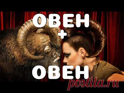 Овен и Овен.  Совместимость знаков зодиака - YouTube
Возможна ли дружба между ними?
Как два овна ведут себя в работе и бизнесе?
Подходят ли они друг другу в браке?
Девушка овен - независимая, яркая, умная, однако...Любой мужчина овен, по его мнению, еще в большей степени обладает столь прекрасными качествами. Периодически..он будет требовать признания своих достоинств, всеми возможными способами убедить в этом ее и себя самого.