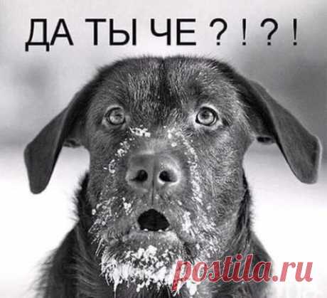 Срамота! Изобрели трусики-наклейки! (фото)