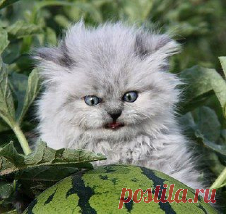 Новости