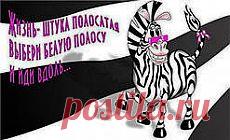 ПРОТИВ ЧЕРНОЙ ПОЛОСЫ.... | Познавательный сайт ,,1000 мелочей"