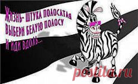 ПРОТИВ ЧЕРНОЙ ПОЛОСЫ.... | Познавательный сайт ,,1000 мелочей&quot;