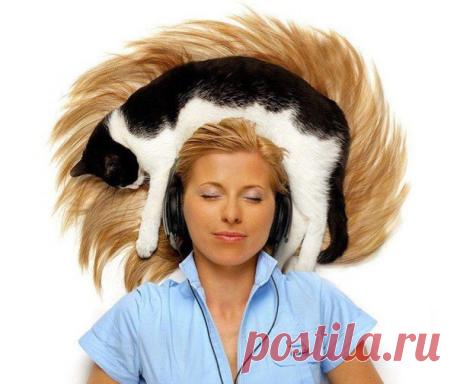 ПОЧЕМУ КОШКА ЛОЖИТСЯ НА БОЛЬНОЕ МЕСТО ЧЕЛОВЕКА?