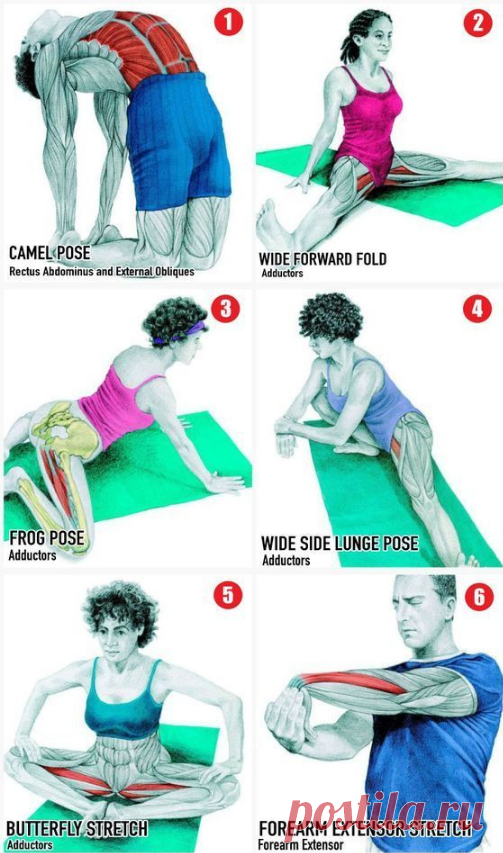 Кольцо вокруг Рози🌕🌌