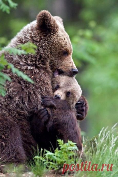 (87) Pinterest: инструмент для поиска и хранения интересных идей
