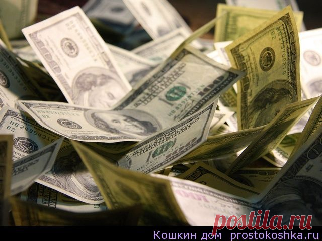Как тратят деньги знаки Зодиака | Кошкин дом