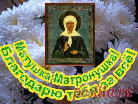 (3) Одноклассники