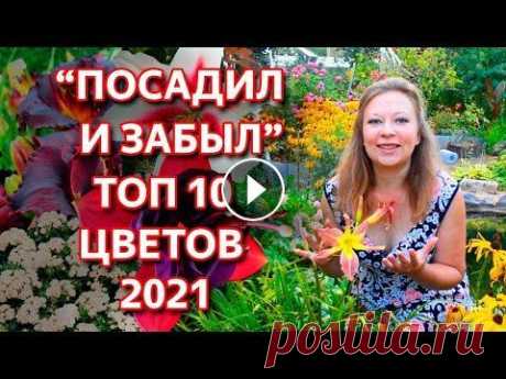 NEW! Неприхотливые цветы для сада. Лучшие многолетники. Лучшие однолетние цветы. Обзор 2021. Преобразите Ваши клумбы этими цветами! Яркие и эффектные многолетники. Неприхотливые однолетние цветы. О тонкостях выращивания и многообразии выбора р...