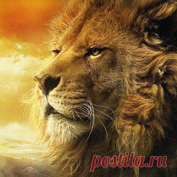 Поделиться в Google+