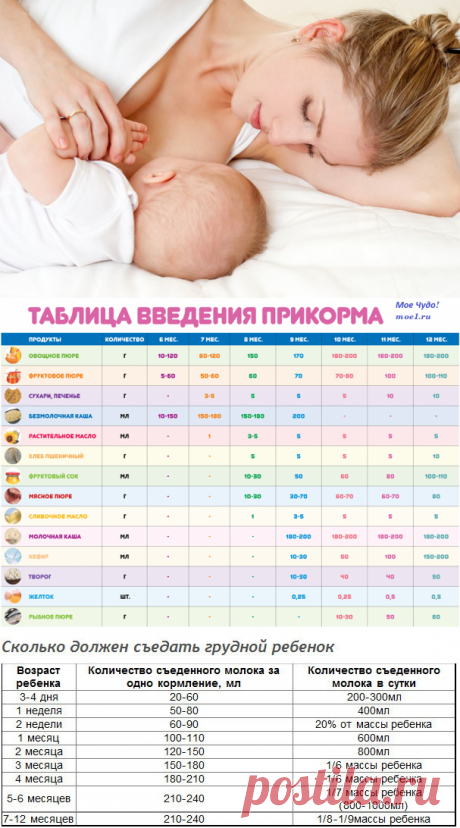 Грудное вскармливание новорожденного ребенка. Первое вскармливание, стул, прикорм и отучение от груди. Месячные во время лактации