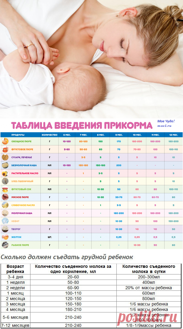Грудное вскармливание новорожденного ребенка. Первое вскармливание, стул, прикорм и отучение от груди. Месячные во время лактации