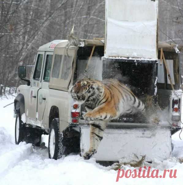 Фотографии на стене сообщества | 8 709 фотографий
