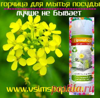 Купить безопасное и качественное моющее средство для посуды? - Vsim Shop