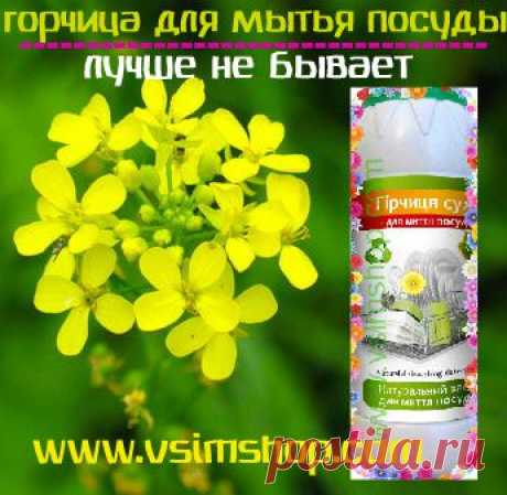 Купить безопасное и качественное моющее средство для посуды? - Vsim Shop