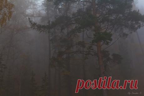 Красноярские Столбы. Сентябрь 2014 - острова в облаках, закат. - Путешествуем вместе