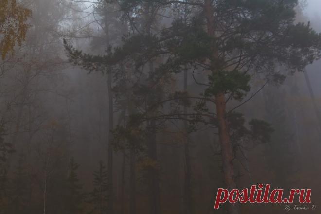 Красноярские Столбы. Сентябрь 2014 - острова в облаках, закат. - Путешествуем вместе