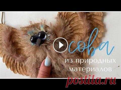 DIY Сова ИЗ ПРИРОДНЫХ МАТЕРИАЛОВ как настоящая ПОДЕЛКА СВОИМИ РУКАМИ совушка птица Всем привет! Сегодня я научу вас мастерить необыкновенно красивую сову из Вертолетиков (семена ясеня) и декора для дома из фикспрайс, картон и клей,...