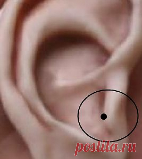 Как снизить давление... | Советы Народной Мудрости