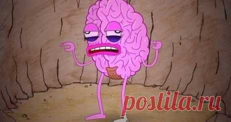 Десять методик предотвращения умственной деградации. | Human psychology