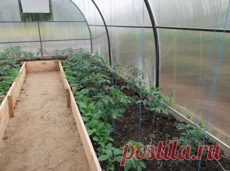 (1) Одноклассники