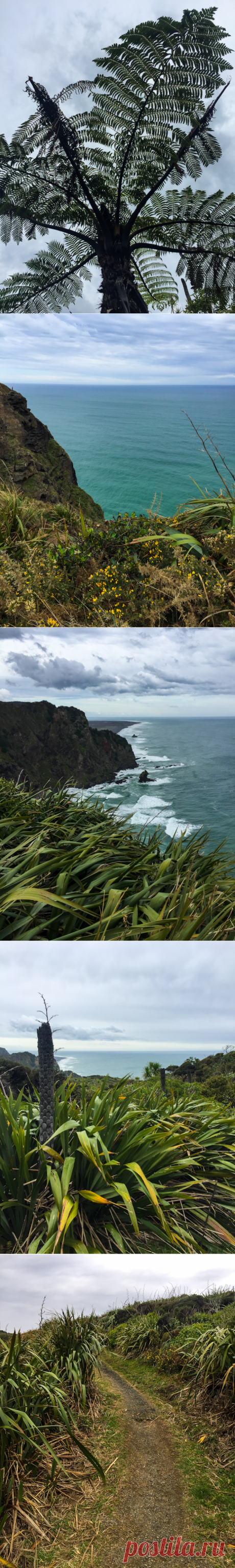 The best West Auckland walk?