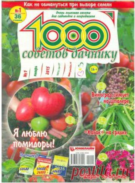Дневник koshkata