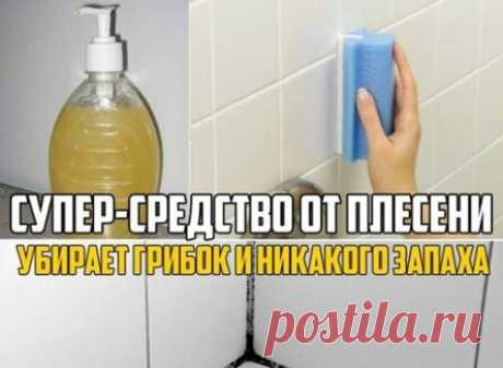 Суперсредство от плесени: убирает грибок на ура и никакого жуткого запаха! Довольна, что нашла.