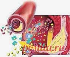 Смесь от склероза | Друг пенсионера