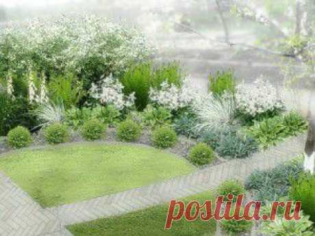 НЕОБЫКНОВЕННЫЕ ПРОЕКТЫ ЦВЕТНИКОВ С ФОРУМА &quot;ЦВЕТУЩАЯ ДАЧА&quot;